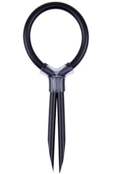 Chisa Stud Cock Ring Penisring