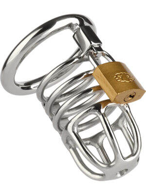 Mr. Steel: Ring Master Penisbur